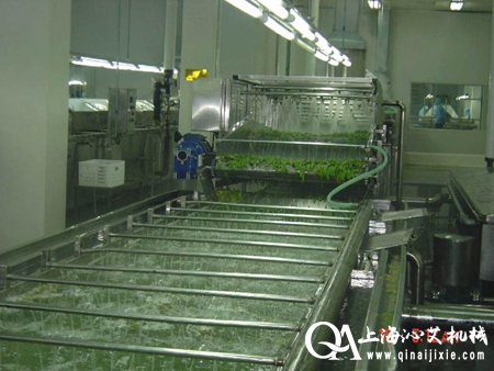 果蔬清洗流水線 果蔬清洗流水線