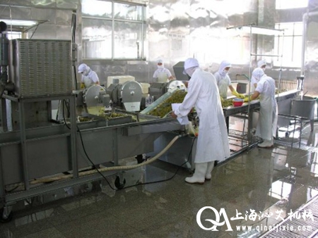 果蔬清洗流水線 果蔬清洗流水線