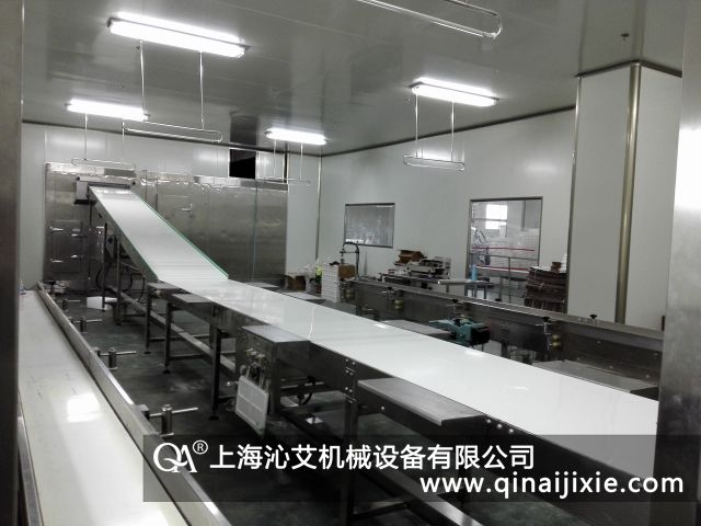 工作臺水平皮帶輸送機(jī) 工作臺水平皮帶輸送機(jī)